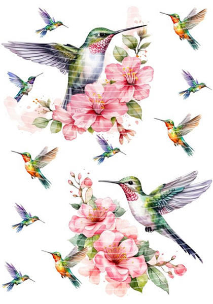 A5 Notebook Wraps-W-2699